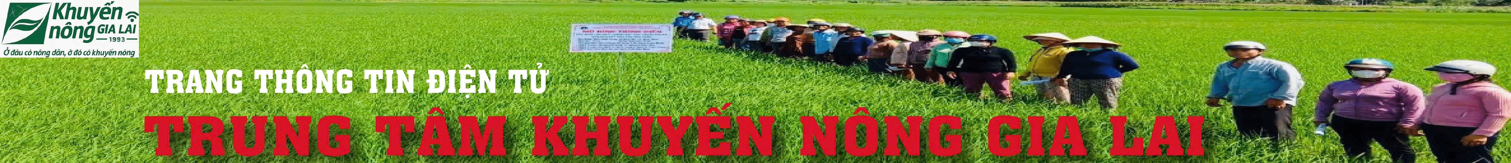 Trung tâm khuyên nông Bình Định