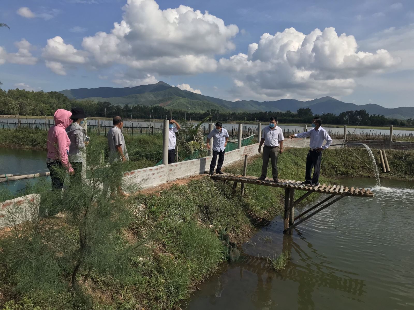 Nuôi chình thương phẩm trong ao đất