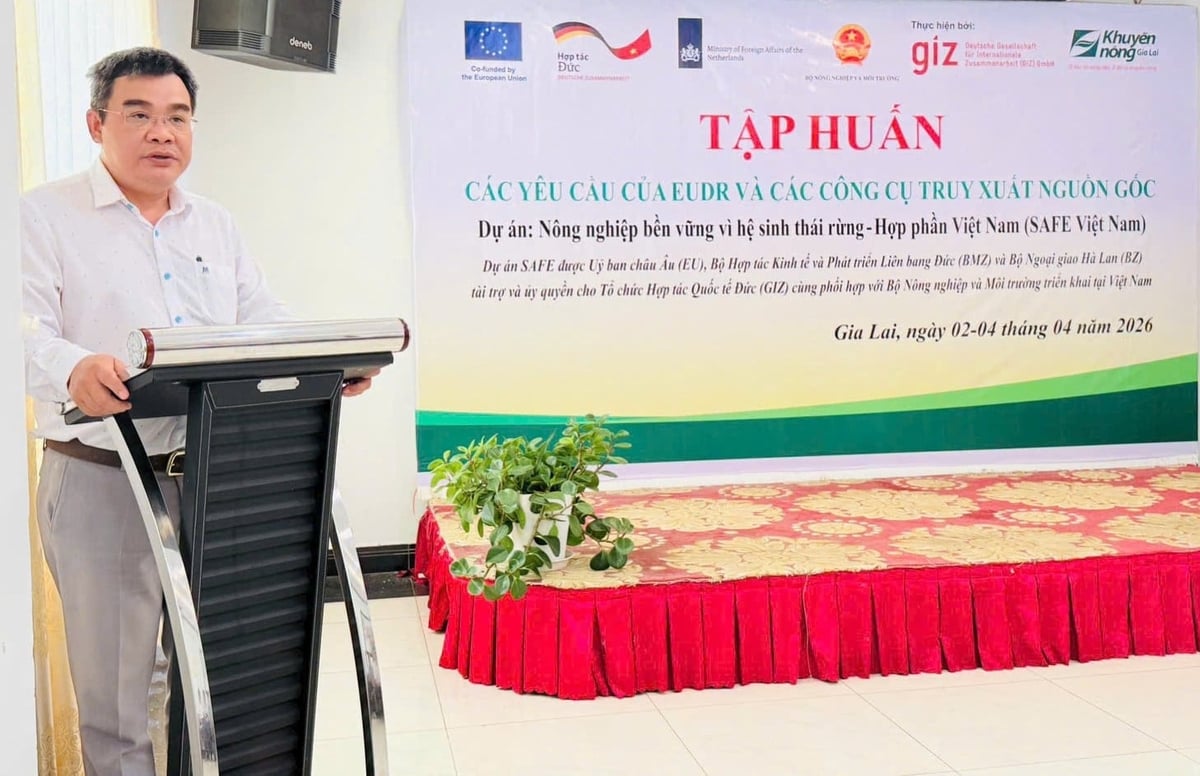 Khuyến nông Gia Lai đào tạo chuyên sâu về EUDR cho ngành cà phê